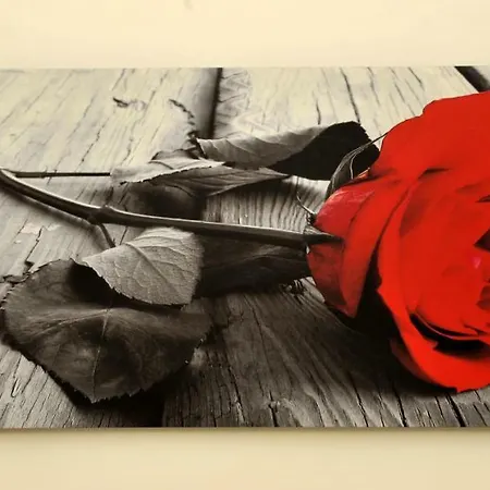 La Rosa Rossa